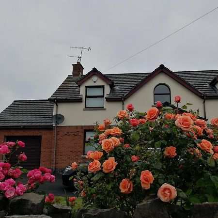 Fox Heaven B&B Carrickfergus Exteriér fotografie