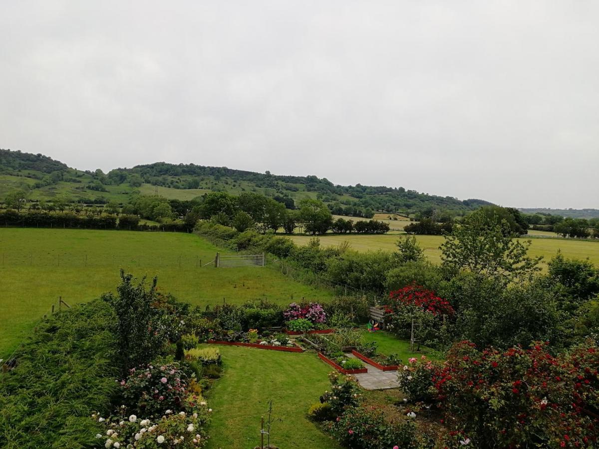 Fox Heaven B&B Carrickfergus Exteriér fotografie